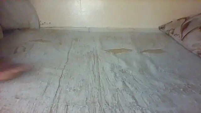 lebogangkat online show from February 2026 01:38:02 PM