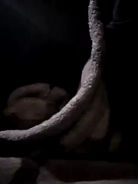 YoungAsainWithATrunk online show from January 2026 12:09:02 PM