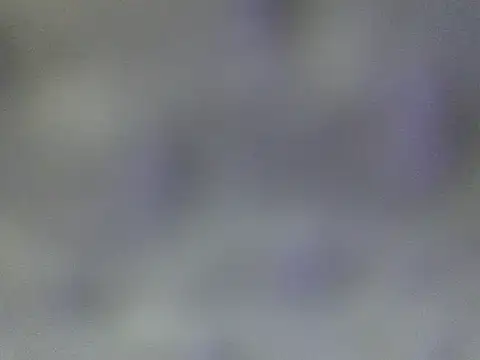 Minico25 online show from March 2026 02:44:02 AM