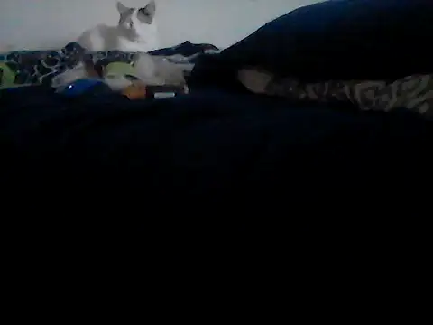 Snapshot of Silencio26 chatting on February 2026 09:24:02 PM Silencio26 online show from February 2026 09:24:02 PM