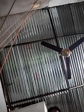 RAKIB5676 online show from February 2026 03:43:01 AM