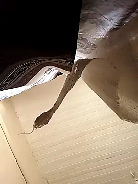 shanicollete online show from January 2026 04:28:01 AM