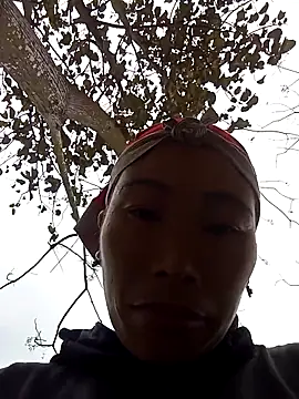 Nllpvp online show from February 2026 06:28:02 AM