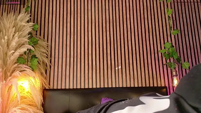 Hiddenhotcake online show from March 2026 06:57:01 PM