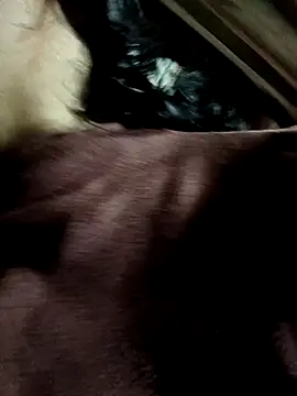 Snapshot of yu--yo chatting on March 2026 03:44:02 AM yu--yo online show from March 2026 03:44:02 AM