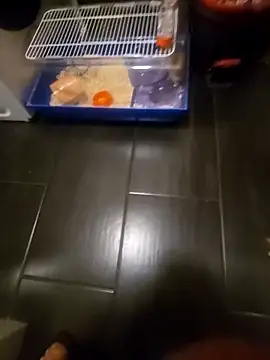 81czacha8107 online show from March 2026 10:42:01 PM