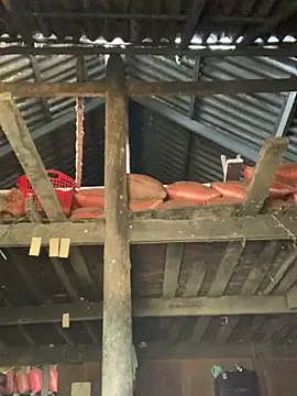 Naalyy online show from March 2026 03:34:01 AM