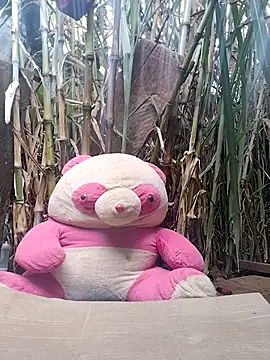 Snapshot of leona118 chatting on February 2026 01:32:02 AM leona118 online show from February 2026 01:32:02 AM