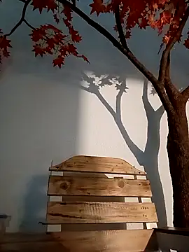 Dante Knox online show from March 2026 11:21:02 PM