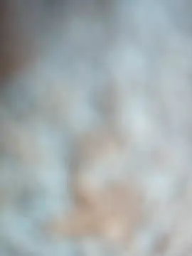 talytah online show from February 2026 09:27:01 AM