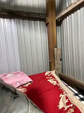 Xo xo237 online show from March 2026 04:14:01 AM