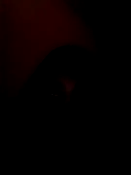 arushi bb online show from January 2026 03:38:01 PM