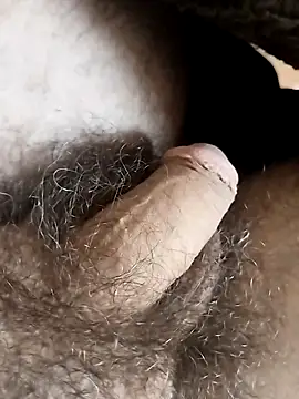 Pikulate online show from January 2026 02:19:01 PM