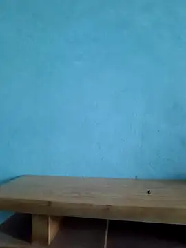 Vanvan68xx online show from April 2026 03:34:02 AM