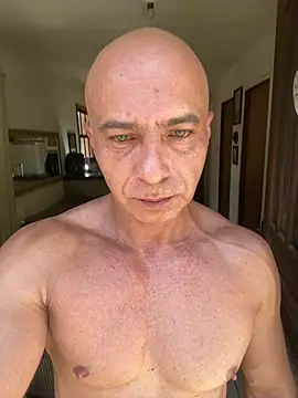 Snapshot of dogfrota chatting on February 2026 03:16:01 PM dogfrota online show from February 2026 03:16:01 PM