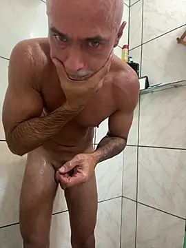 dogfrota online show from March 2026 03:50:01 PM