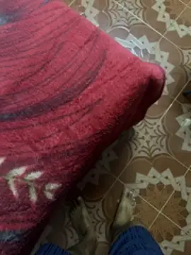 tropicalpied online show from March 2026 01:59:02 PM