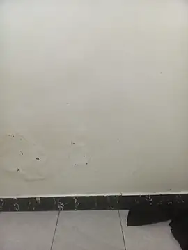 Snapshot of PatriciaVen chatting on February 2026 06:22:01 AM PatriciaVen online show from February 2026 06:22:01 AM