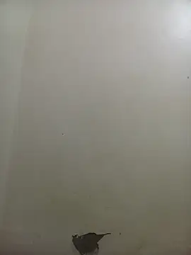 Snapshot of PatriciaVen chatting on February 2026 04:05:02 AM PatriciaVen online show from February 2026 04:05:02 AM