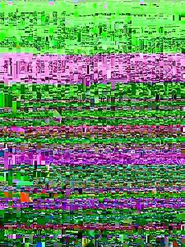 liyamjunior online show from June 2026 02:14:02 AM