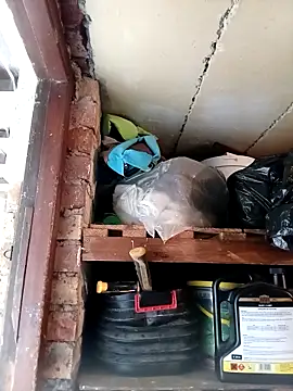 Snapshot of dicklife3485 chatting on February 2026 08:04:01 AM dicklife3485 online show from February 2026 08:04:01 AM