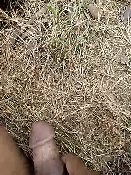 ankit barma009 online show from February 2026 09:03:02 AM