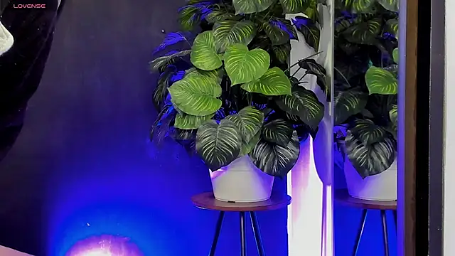 Noaah25  online show from March 2026 03:21:02 AM