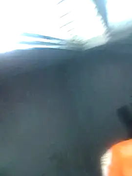 knightqueen12 online show from February 2026 08:46:02 AM