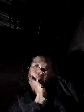 Jooj- online show from February 2026 03:06:02 PM