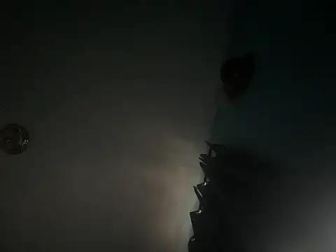 CcincoVilla online show from February 2026 01:20:01 PM