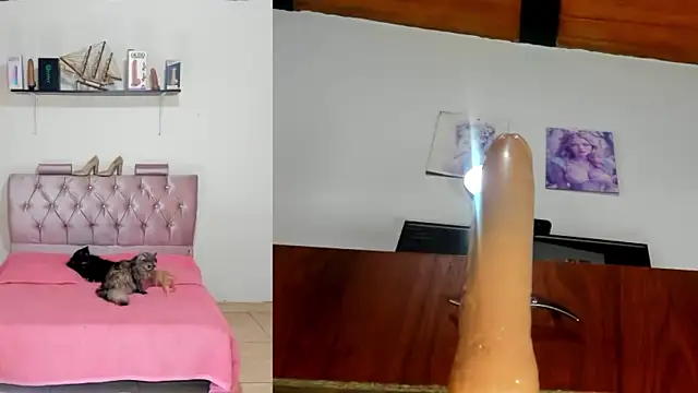 harper funny online show from April 2026 06:09:02 PM