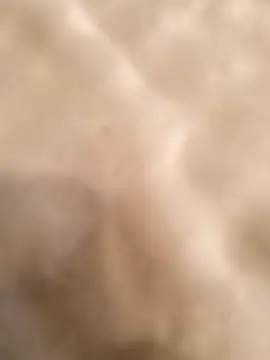 testmailx75 online show from February 2026 09:23:01 PM