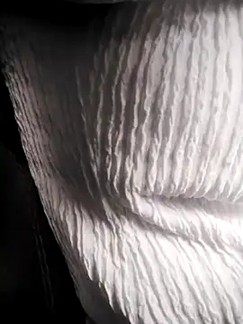 RosseLaure online show from February 2026 07:56:01 PM