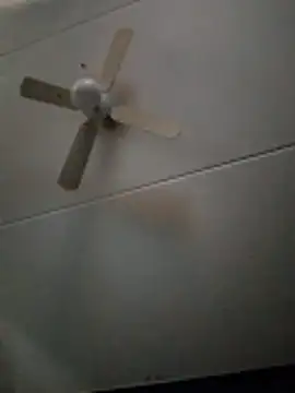 dewimp1 online show from February 2026 08:52:01 AM