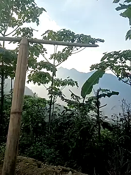 cutebobi online show from March 2026 09:54:02 AM