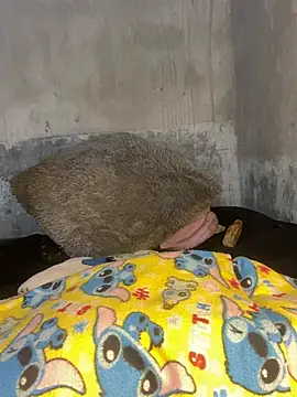 Snapshot of Iam_AlexandraRey chatting on February 2026 07:51:01 AM Iam AlexandraRey online show from February 2026 07:51:01 AM