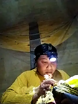 kussecka online show from February 2026 01:26:01 AM