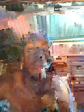 Peterveero12 online show from February 2026 04:04:01 PM