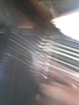 Peterveero12 online show from March 2026 04:33:02 PM