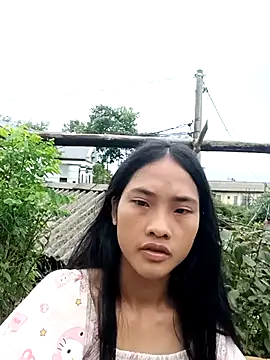 Hoa-tuylip online show from July 2026 07:17:01 AM