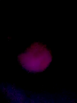 Snapshot of 061190 chatting on March 2026 02:20:01 PM 061190 online show from March 2026 02:20:01 PM