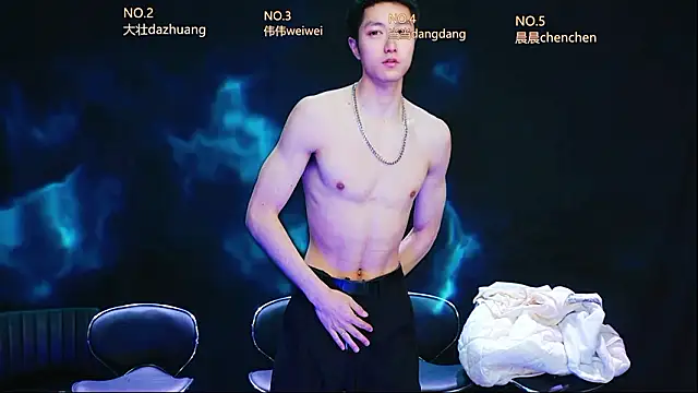 Snapshot of GAY-Brave0003 chatting on February 2026 01:25:01 PM GAY-Brave0003 online show from February 2026 01:25:01 PM