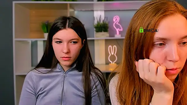 stella flower online show from March 2026 06:19:01 AM