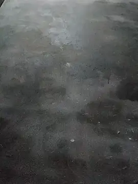 Snapshot of Sgs594802799 chatting on March 2026 08:24:01 PM Sgs594802799 online show from March 2026 08:24:01 PM