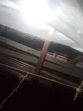 degeneradicto online show from February 2026 05:04:01 AM