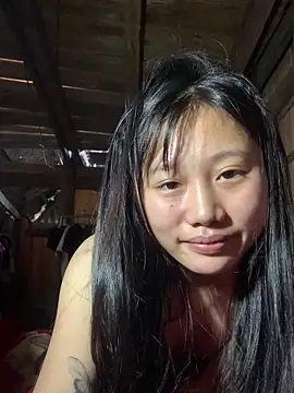 Snapshot of ngoccc-nga chatting on February 2026 01:04:01 AM ngoccc-nga online show from February 2026 01:04:01 AM