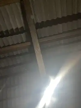 bikhidj online show from April 2026 01:39:02 PM