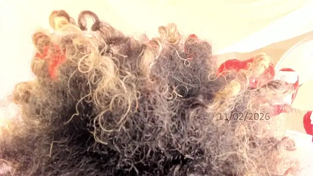 Snapshot of Brit_weston chatting on February 2026 09:42:01 PM Brit weston online show from February 2026 09:42:01 PM