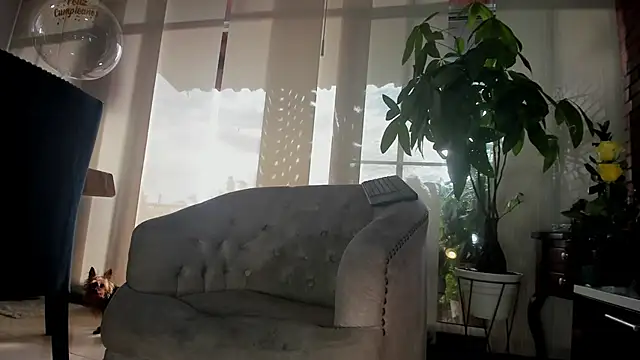 kamari gaia online show from March 2026 09:29:01 PM