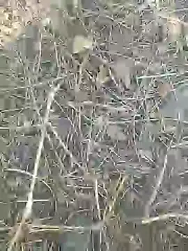 Cute Boy 4 online show from March 2026 08:40:02 AM